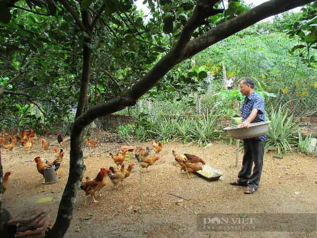 Quảng Nam: Hành trình 10 năm xây dựng nông thôn mới giúp Quế Sơn thay đổi diện mạo - Ảnh 6.