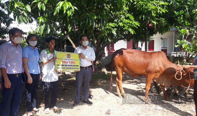 Hội nông dân tỉnh Thái Nguyên: Trao tặng bò, tạo sinh kế, chia sẻ khó khăn với người nghèo - Ảnh 1.