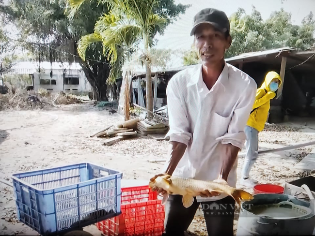 Quảng Nam: Hội Nông dân là lá chắn, chỗ dựa vững chắc để hội viên vươn lên thoát nghèo - Ảnh 3.