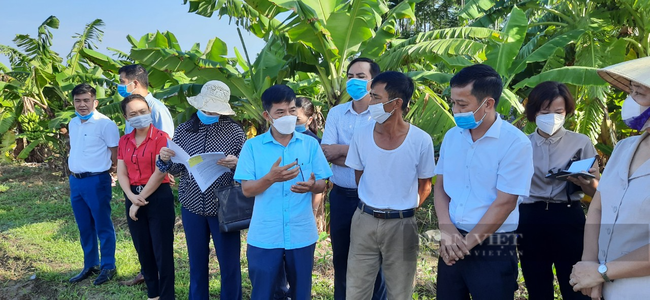 Hội Nông dân Hải Phòng: Giám sát quản lý, sử dụng đất trồng lúa tại huyện Thủy Nguyên. - Ảnh 3.