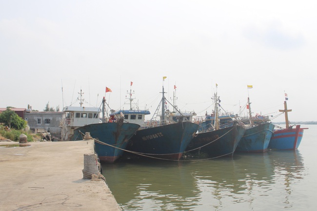 Nam Định: Vẫn còn tình trạng tàu cá vi phạm pháp luật về khai thác thủy sản - Ảnh 3.