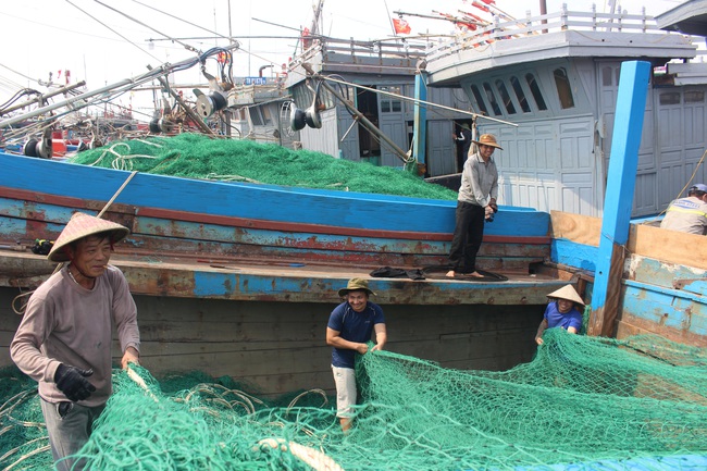 Nam Định gặp khó trong việc truy xuất nguồn gốc thủy sản khai thác - Ảnh 2.