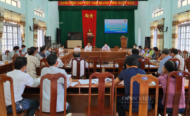 Quảng Nam: Hội Nông dân Tam Kỳ phát động mỗi cơ sở Hội có ít nhất một khâu đột phá - Ảnh 2.