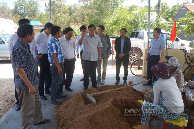 Quảng Nam: Hội Nông dân Tam Kỳ phát động mỗi cơ sở Hội có ít nhất một khâu đột phá - Ảnh 3.