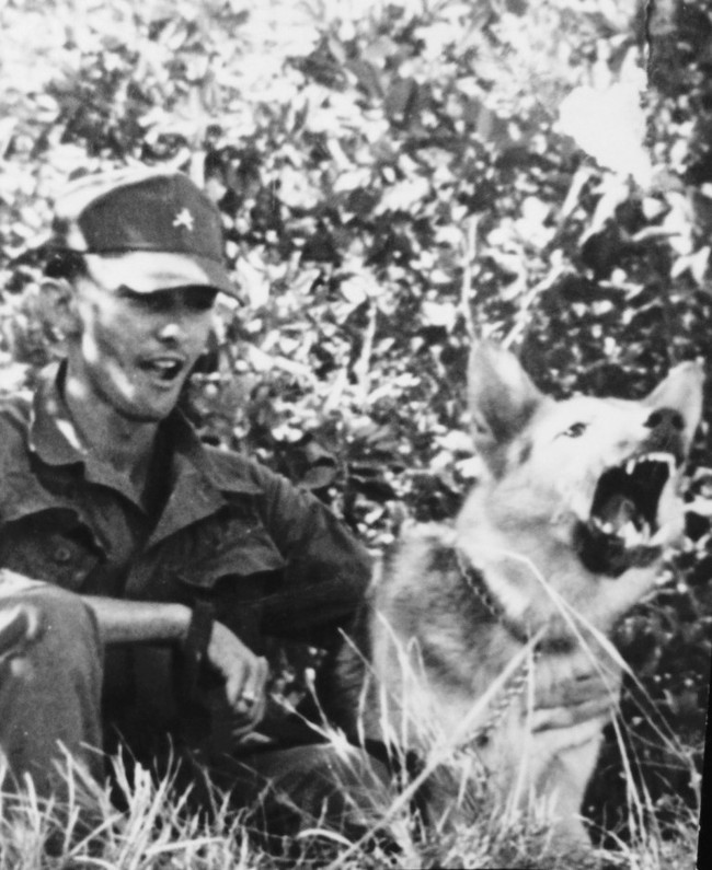 Lý giải việc chó quân sự của Mỹ chết như ngả rạ ở Việt Nam - Ảnh 2.