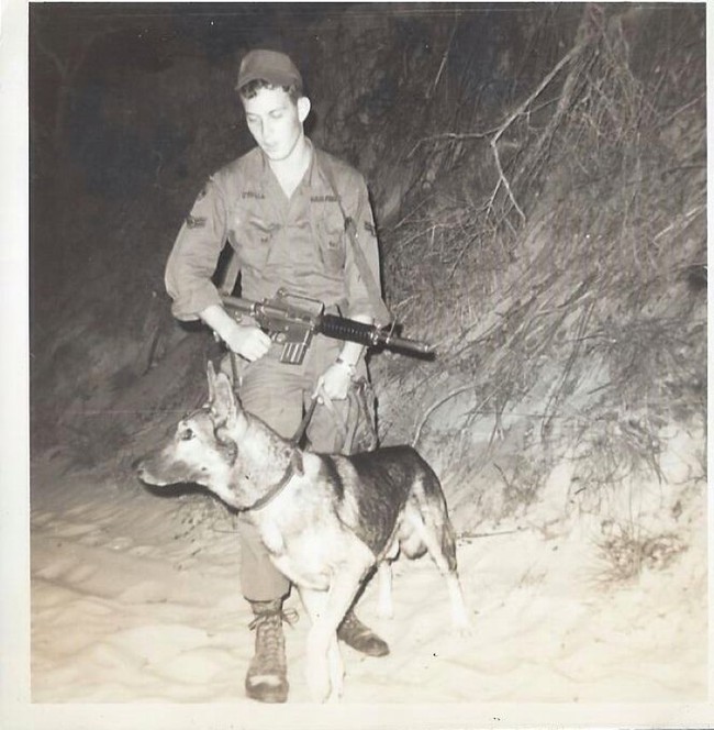 Lý giải việc chó quân sự của Mỹ chết như ngả rạ ở Việt Nam - Ảnh 4.