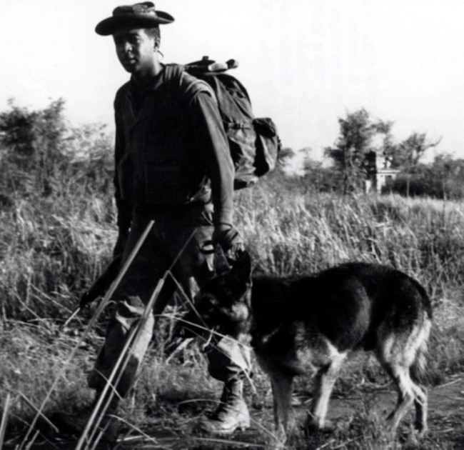 Lý giải việc chó quân sự của Mỹ chết như ngả rạ ở Việt Nam - Ảnh 9.