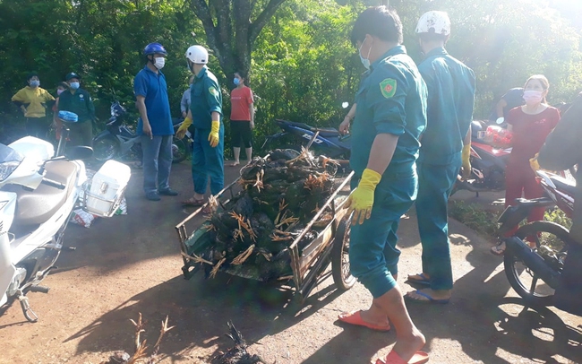 Lực lượng vũ trang hỗ trợ khắc phục hậu quả trên đàn gà của người dân người dân huyện Hớn Quản. Ảnh: UBND huyện Hớn Quản.