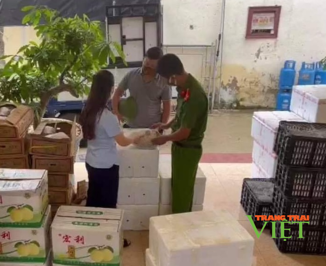 Sơn La: Thu giữ 55 thùng hoa quả nhập lậu tại huyện Vân Hồ - Ảnh 1.