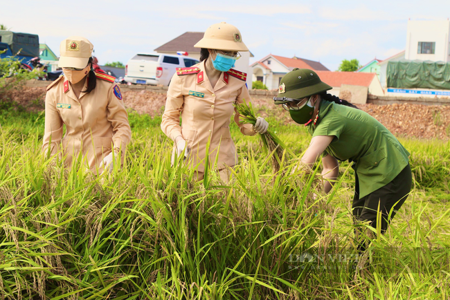 Công an Quảng Bình xuống đồng gặt lúa chở về tận nhà cho nông dân vùng phong tỏa - Ảnh 2.
