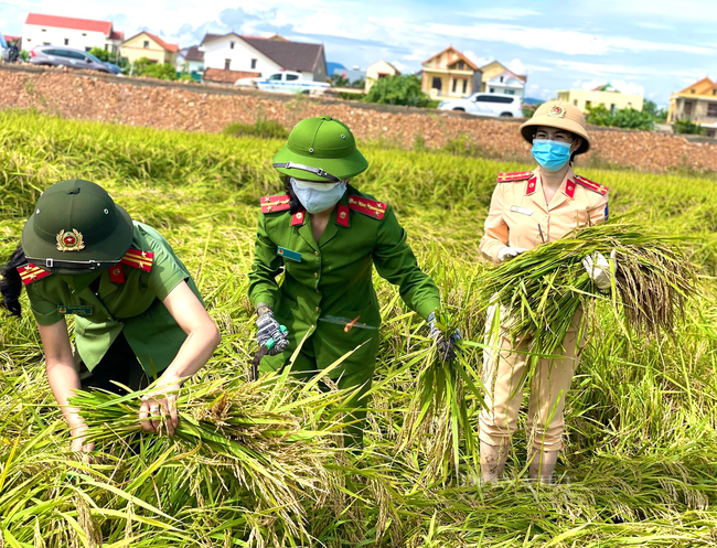 Công an Quảng Bình xuống đồng gặt lúa chở về tận nhà cho nông dân vùng phong tỏa - Ảnh 3.