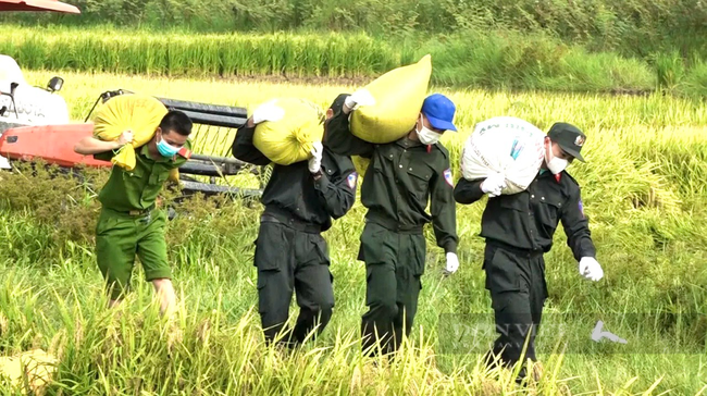 Công an Quảng Bình xuống đồng gặt lúa chở về tận nhà cho nông dân vùng phong tỏa - Ảnh 5.