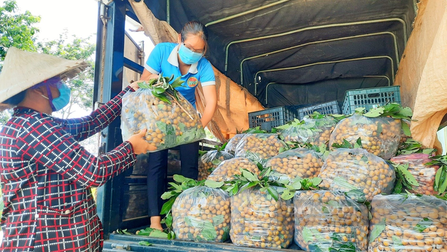 Hội nông dân Bình Phước hỗ trợ thu gom vận chuyển nông sản của bà con xuống thị trường TP.HCM. Ảnh: Yến Linh.