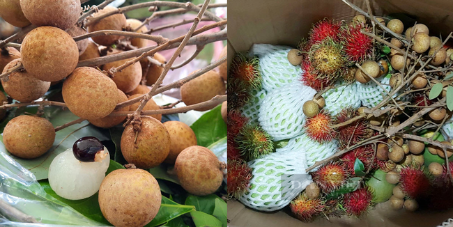 Trái cây tươi ngon của Bình Phước được chị Nhung kết nối đến tận tay người dùng ở TP.HCM. Ảnh: Tuyết Nhung