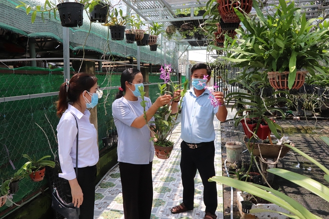 Bà Rịa -Vũng Tàu: Vay vốn trồng hoa lan, nuôi heo rừng, nông dân nghèo đổi vận, có hộ thu 20 triệu/tháng - Ảnh 4.