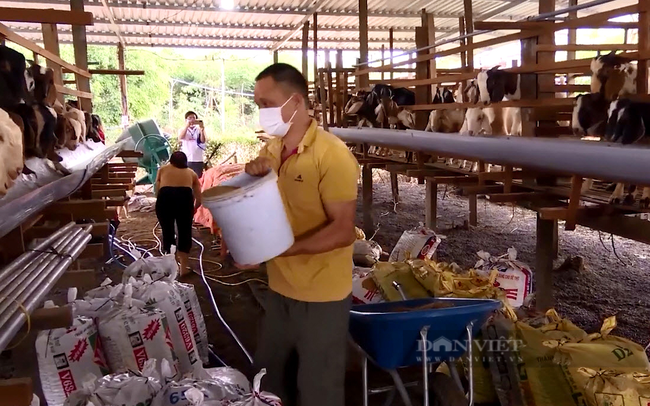 Ông Đỗ Bá Vinh ở ấp Bù Nồm, xã Lộc Phú, huyện Lộc Ninh nuôi dê vỗ béo theo hình thức công nghiệp. Ảnh: Thu Trang