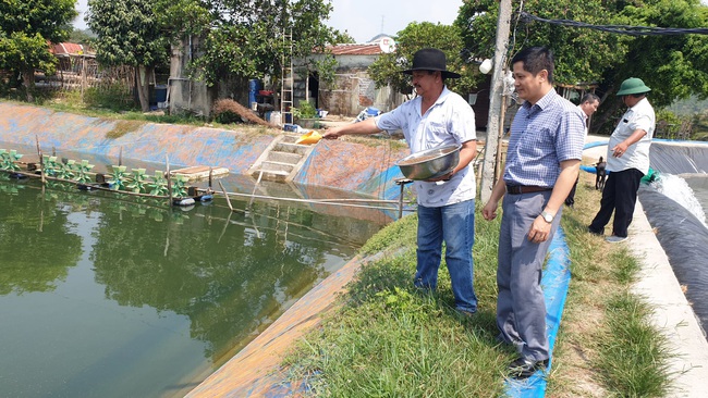 Hiện thực hóa “mục tiêu kép” giúp người dân khôi phục sản xuất - Ảnh 1.