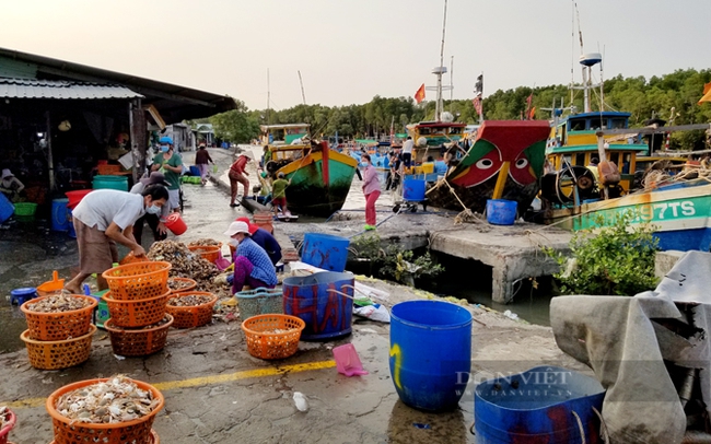 Chiều trên cảng cá Đồng Hòa, huyện Cần Giờ. Ảnh: Trần Khánh