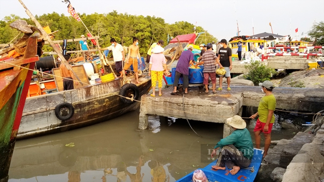 Đến cảng cá Đồng Hòa, du khách được dịp hòa mình vào không khí tấp nập trên chợ dưới thuyền và tự tay lựa những món hải sản tươi ngon. Ảnh: Trần Khánh