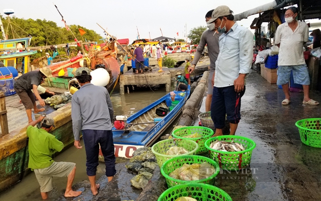 Cảng cá tấp nập từ 14-17h giờ mỗi ngày. Ảnh: Trần Khánh