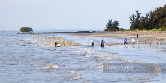 Khung cảnh thôn dã và rừng, biển Cần Giờ là lựa chọn lý thú cho du khách dịp cuối tuần. Ảnh: Trần Khánh