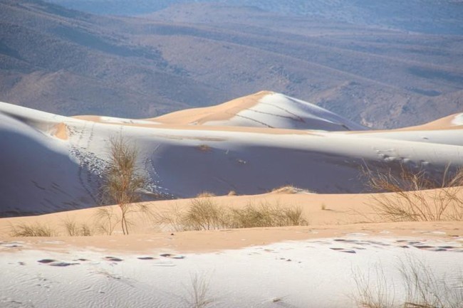 Cảnh bất thường cực hiếm: Băng tuyết phủ trắng sa mạc Sahara - Ảnh 3.