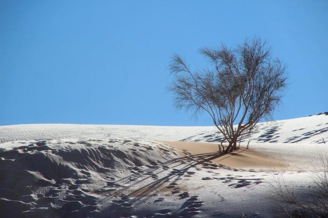 Cảnh bất thường cực hiếm: Băng tuyết phủ trắng sa mạc Sahara - Ảnh 1.