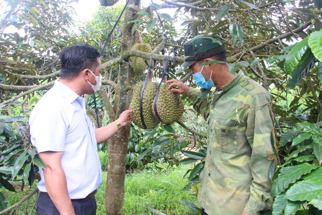 tat/Điểm tựa hữu ích của nông dân trồng cà phê, nuôi dê... - Ảnh 1.