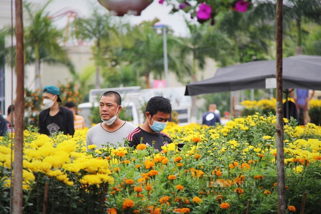 Mưa kéo dài, tiểu thương chợ hoa Tết lớn nhất Đà Nẵng khó càng thêm khó - Ảnh 2.
