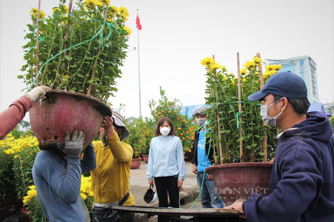 Mưa kéo dài, tiểu thương chợ hoa Tết lớn nhất Đà Nẵng khó càng thêm khó - Ảnh 3.