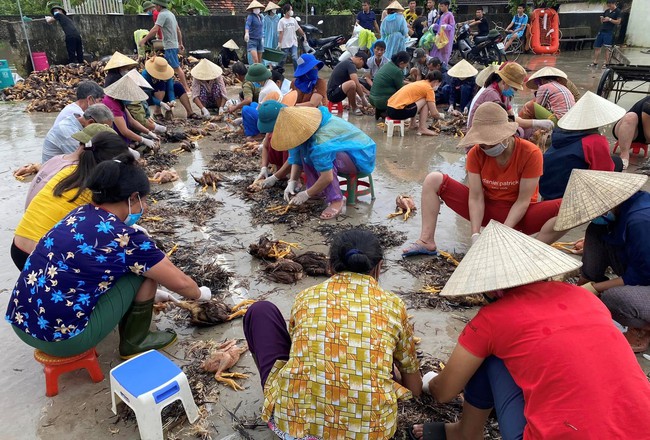 Cả trang trại gà chết sạch trong nước lũ, dân làng hò nhau giúp chủ trại sơ chế để vớt lại chút vốn - Ảnh 4.