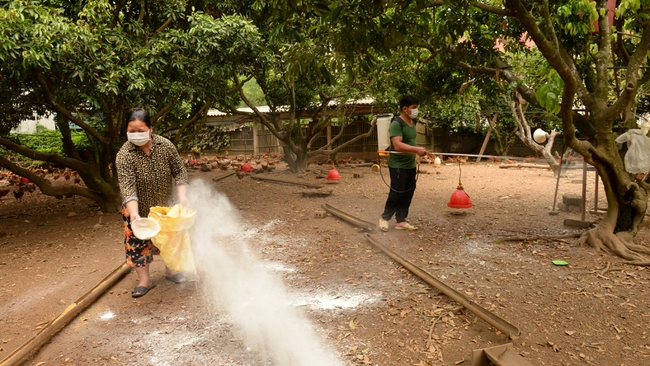 Vùng an toàn dịch bệnh: “Chìa khóa” chặn cửa dịch cúm gia cầm - Ảnh 1.