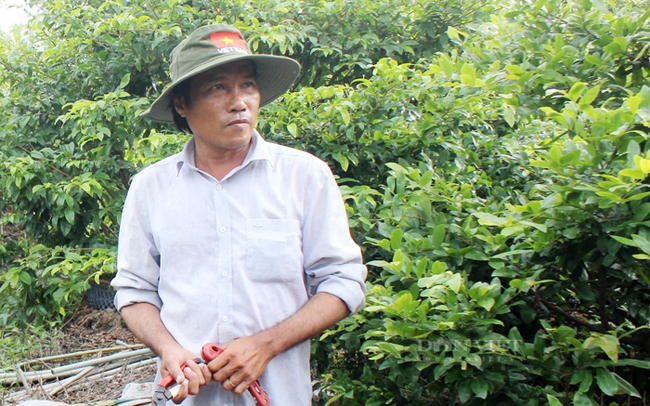Lãnh đạo tỉnh Nghệ An thăm mô hình kinh tế tại xã Tam Quang