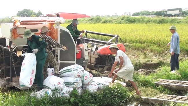 Hội Nông dân vào cuộc, hội viên tránh xa thuốc lá - Ảnh 3.