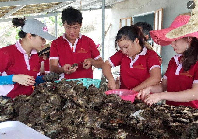 Nuôi trai lấy ngọc phát triển kinh tế biển - Ảnh 1.