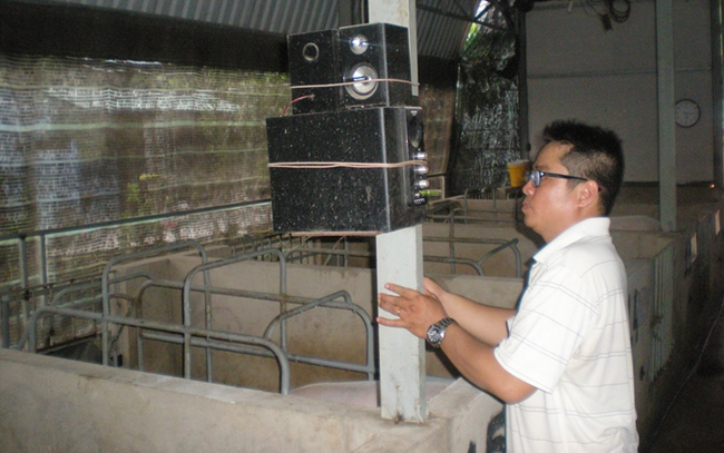 Ông Nguyễn Bá Minh ở xã Tân Nhựt (huyện Bình Chánh) đầu tư hơn 3 tỷ đồng để làm chuồng trại nuôi heo theo quy trình khép kín. Ảnh: Trần Khánh