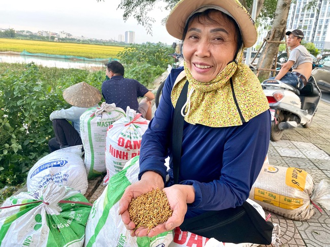 Niềm vui bội thu của nông dân quận Long Biên - Ảnh 6.