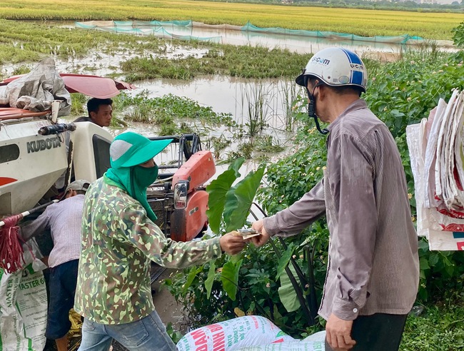 Niềm vui bội thu của nông dân quận Long Biên - Ảnh 4.