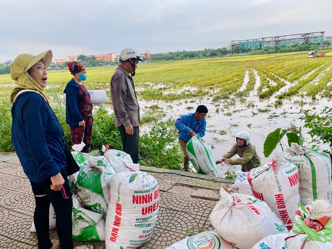 Niềm vui bội thu của nông dân quận Long Biên - Ảnh 5.