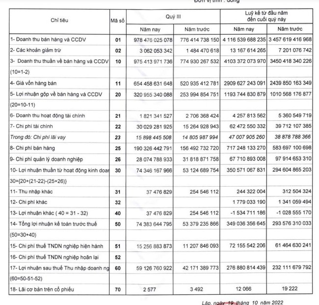 Bóng đèn Phích nước Rạng Đông: Quý III/2022 hoàn thành 80% kế hoạch lợi nhuận năm - Ảnh 1.