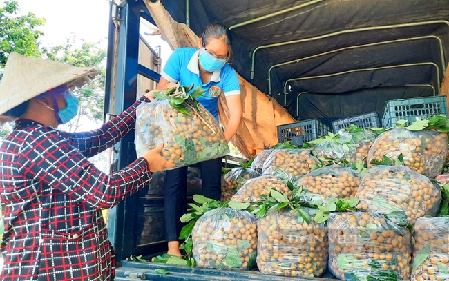 Hội Nông dân tỉnh Bình Phước hỗ trợ nông dân tiêu thụ nông sản trong mùa dịch Covid-19. Ảnh: Yến Linh