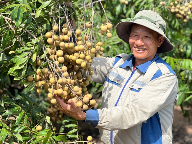 Vốn ưu đãi tạo nên vườn cây, trang trại - Ảnh 1.