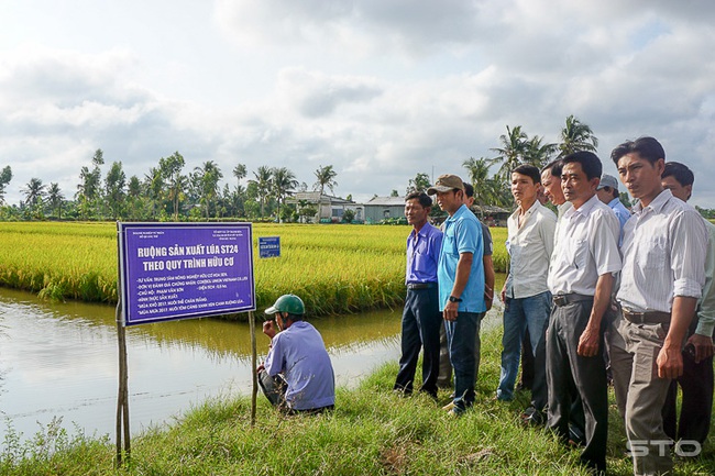 Hợp tác 6 nhà nhân rộng “tôm - lúa”, “tôm - rừng”  - Ảnh 1.