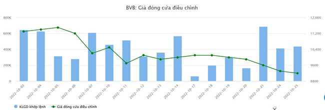 Ngân hàng Bản Việt lãi hơn 423 tỷ đồng trong 9 tháng, hoàn thành 94% kế hoạch năm - Ảnh 2.