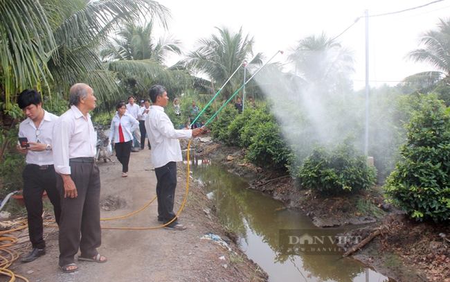 Nông dân huyện bình chánh (TP.HCM) sử dụng thuốc bảo vệ thực vật gốc sinh học bảo vệ vườn mai. Ảnh: Trần Khánh