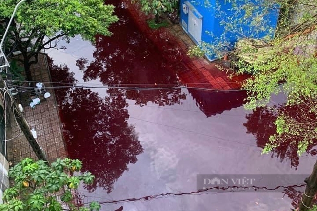 Vụ nước ngập có màu đỏ bất thường ở quận Tân Phú: Vẫn chưa tìm ra nguyên nhân - Ảnh 2.