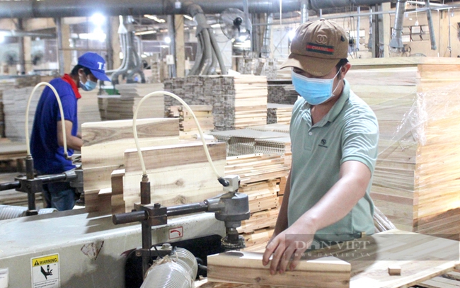 Người lao động làm việc tại một công ty chế biến gỗ ở TP.Thuận An, Bình Dương. Ảnh: Trần Khánh