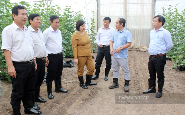 Bà Cao Xuân Thu Vân - Phó Chủ tịch Trung ương Hội Nông dân Việt Nam cùng Hội Nông dân tỉnh Bình Dương tham quan Khu nông nghiệp công nghệ cao An Thái (huyện Phú Giáo). Ảnh: Trần Khánh