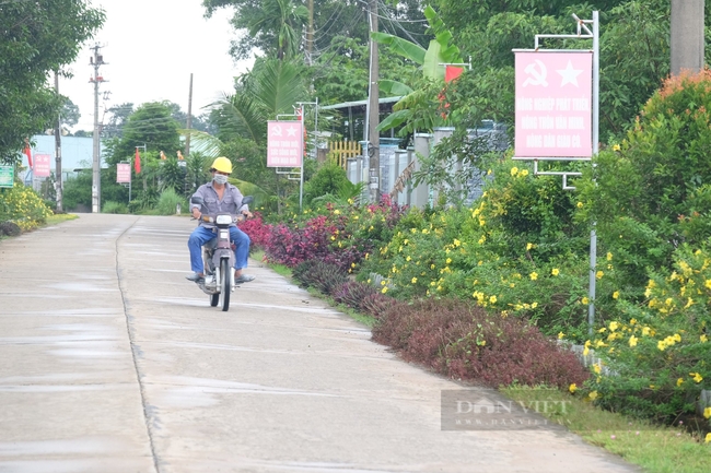 Đồng Nai: Cả xã Bình Lợi ra sức làm đẹp đường sá, khu dân cư để nâng chất nông thôn mới kiểu mẫu - Ảnh 3.