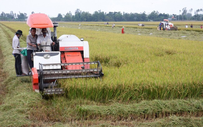 Hình thành trung tâm cơ giới hóa cấp vùng - Ảnh 2.